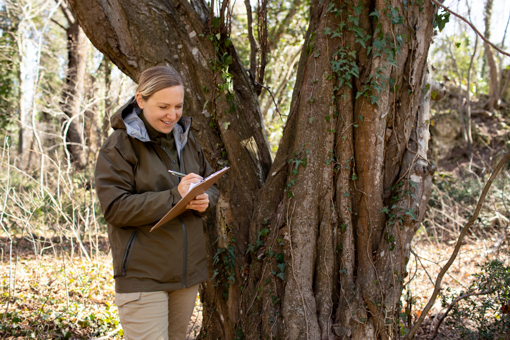 Tree Risk Assessment