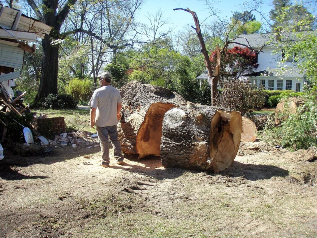 Rewis Tree Services | Tree Removal in Augusta & CSRA — Rewis Tree Services